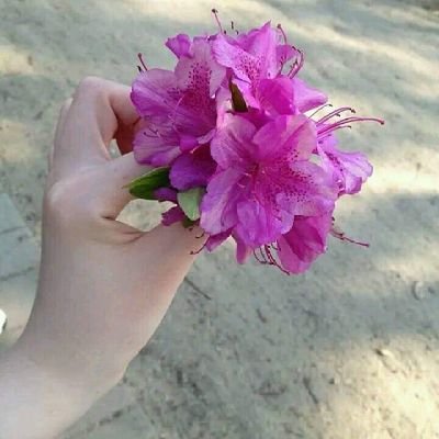 YOUSAFK80947117's profile picture. 