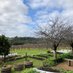 Wine_Wonder_Downunder (@wine_wonder_dwn) Twitter profile photo Wine_Wonder_Downunder (@wine_wonder_dwn) Twitter profile photo