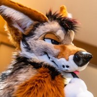 Whiskey (@whiskeyjackal7) 's Twitter Profile