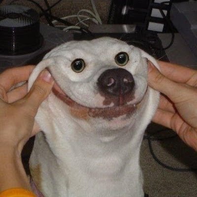 hehepupupepe's profile picture. 