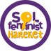 Sol Feminist Hareket (@SolFeminist) Twitter profile photo