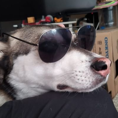 CMDR doccitus on Xbox & PC, Squad: RAIN / KUMO. Playing Elite since 1991, also huge Halo fan and sci-fi, fantasy fan. Rescue doggo owner.