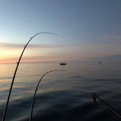 71Rowem's profile picture. 