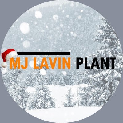 M J Lavin Plant