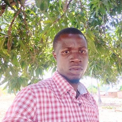 AllyMtumba's profile picture. 