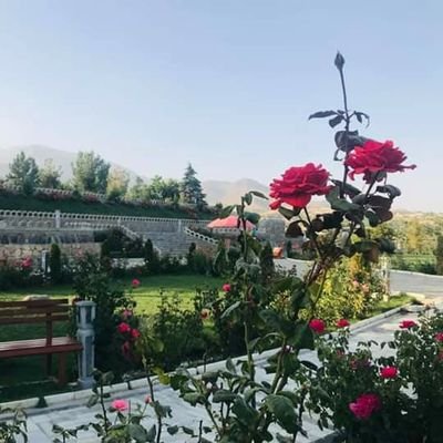 حق بريمن وي تل قول دقران دي
ډاډ لرو مايوس نه يو دا زموږ ايمان دي