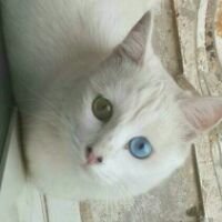 تشافي روح (@gjwrp74kz88zrm7) 's Twitter Profile Photo تشافي روح (@gjwrp74kz88zrm7) 's Twitter Profile Photo