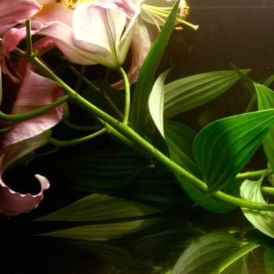 YuTianjie's profile picture. 