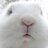 simonapitta's profile image