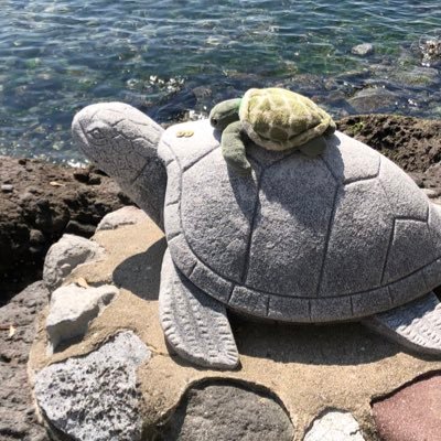 kameripinko's profile picture. 子育てママ 独身満喫