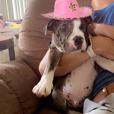 paige18977991's profile picture. 