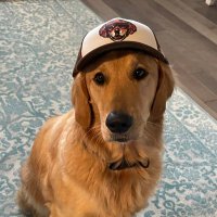 Hodge (@chris_hodgens) 's Twitter Profile