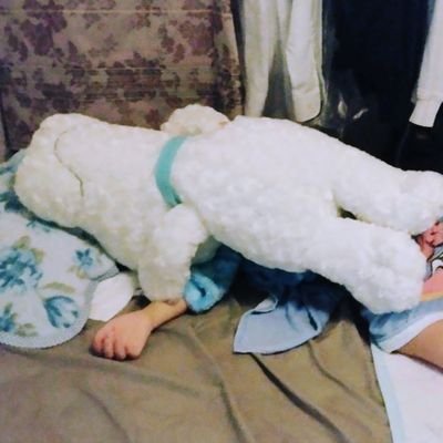 flyaway_aoi's profile picture. キャリアに疑問を感じ、訓練中に会社を辞めました。
ですが一人前のパイロットになるため改めて訓練再開！ 人に優しくなるためには自分が強くなるしかない。