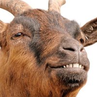 Maximilian Münzberg (@mxy_cs) 's Twitter Profile Photo