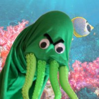 Kraken Not Stirred (@krakenns) 's Twitter Profile