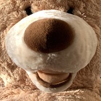 Trident the Bear(@skmpub) 's Twitter Profile Photo
