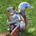 Turtles (@g_reynaga) Twitter profile photo Turtles (@g_reynaga) Twitter profile photo