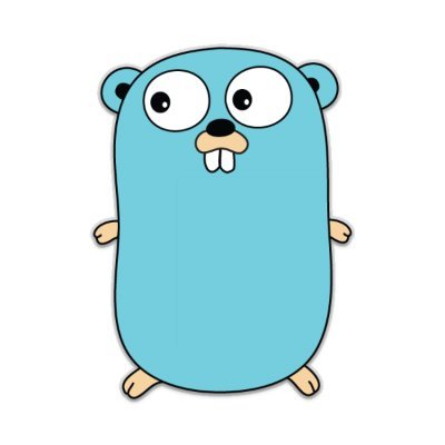 #golang meet-up in Cork