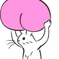 北側🐰 (@kitaaaa1211) Twitter profile photo