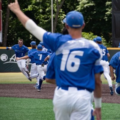 willmk15's profile picture. Hofstra Baseball