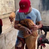 Protetor de Animais ๐ถ๐ฑ **Thiago** (@thiagopda123) 's Twitter Profile