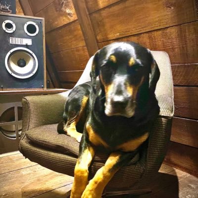 Ronfort's profile picture. fanático de la parrilla 🔥🔪🥩