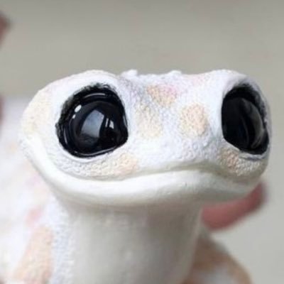 patchesitito's profile picture. here for the vibes :)