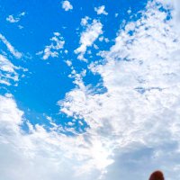 ギン (@ynk_gin) 's Twitter Profile Photo ギン (@ynk_gin) 's Twitter Profile Photo