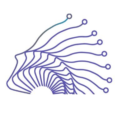 Iniciativa de Datos e Inteligencia Artificial Profile