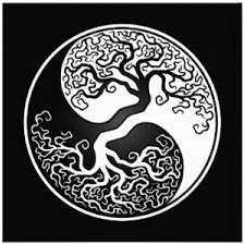 elestulto's profile picture. We must cultivate our own garden