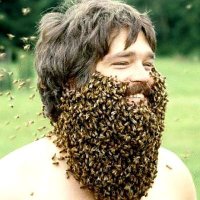 pq os homens vivem menos (@pqoshomens) 's Twitter Profile Photo