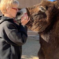 Nancy Faust(@played41) 's Twitter Profile Photo