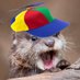 sh!tpostotter 🔜 FWA (@ottposting) Twitter profile photo sh!tpostotter 🔜 FWA (@ottposting) Twitter profile photo