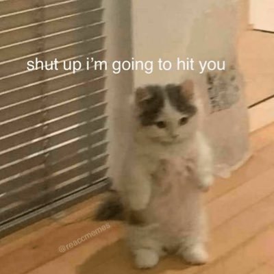 ocdb1tch's profile picture. privi account for 🐝. fuck colonialism, capitalism, and western dominance.