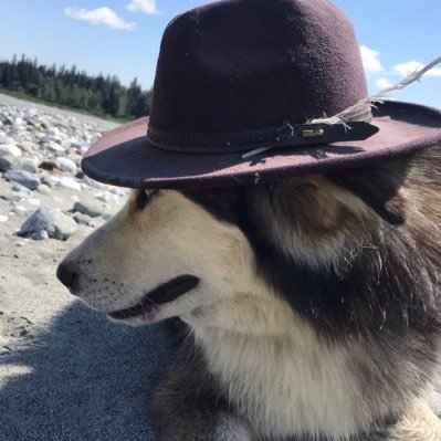 Restoration ecology and gene banking, forest conservation, permaculture and plant medicine, part time poet, single dog dad