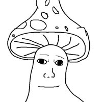 Attila (@attila8xd) 's Twitter Profile Photo Attila (@attila8xd) 's Twitter Profile Photo