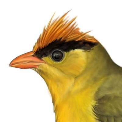 Art by Liz Wahid (she/her) •
Certified Science Illustrator✍️ •
Bird Nerd 🐦🦅🦉🦜🦚🕊️
https://t.co/vWfK5dENST
@OrnithArt@mastodon.world