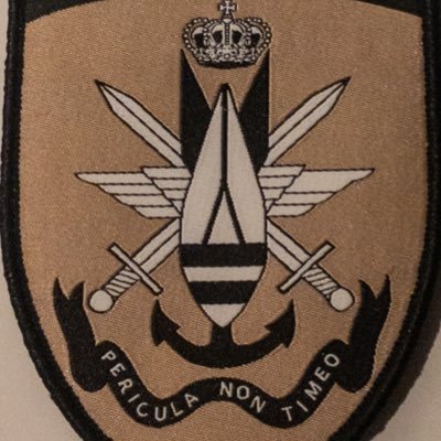 Official twitter-account of the Belgian EOD Battalion. #PericulaNonTimeo