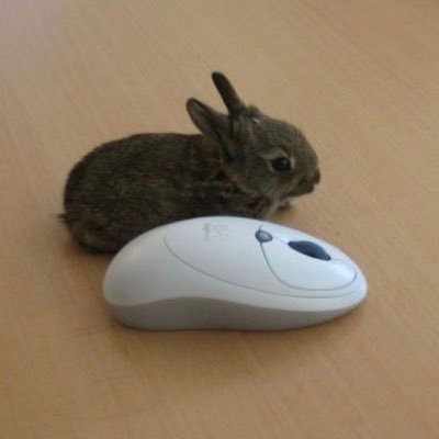 naiauev's profile picture. .구독구독