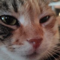 Osman veya Buğra (@yeterartikbugra) 's Twitter Profile