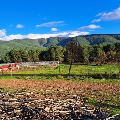 SalamancaEmilio's profile picture. INGENIERO DE LAS EXPLOTACIONES AGROPECUARIAS