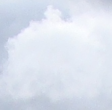 nt201191's profile picture. 