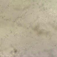 martha mushi (@marthamushi7) 's Twitter Profile