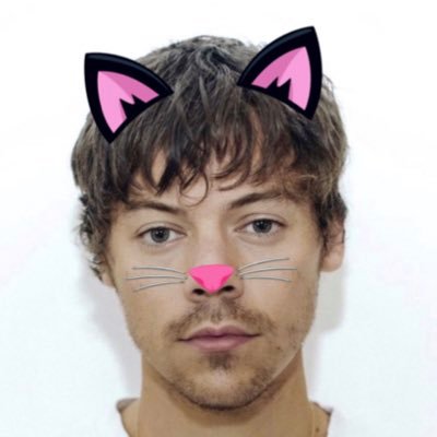 #HARRY: meow! she/her ᓚᘏᗢ ⠀⠀⠀⠀ ⠀ ⠀ ⠀⠀fan account