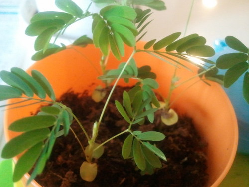 metaview_24's profile picture. DIY好きおじさん