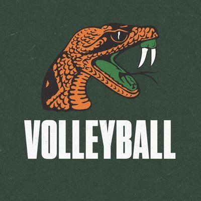 The OFFICIAL account of the 2021 & 2022 SWAC Champions | @FAMUAthletics 🏐 | #FangsUp🐍