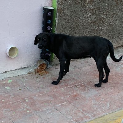 Erika92872517's profile picture. 