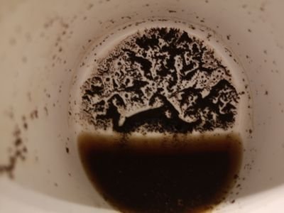 PtacnikJaro's profile picture. 