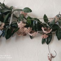 Güney Atelier (@pasa90260372) 's Twitter Profile Photo