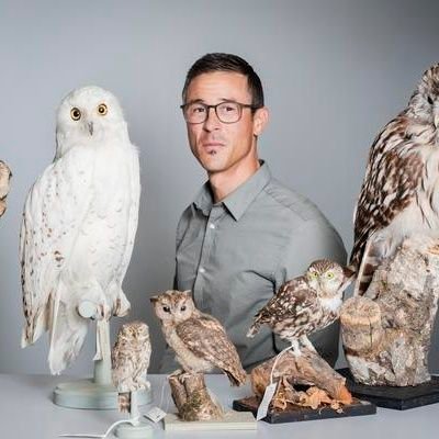 Curator of ornithology at Natural History Museum Bern, lecturer at University of Bern, head of https://t.co/lEm9cSO1f8,  father, birder, runner, traveller